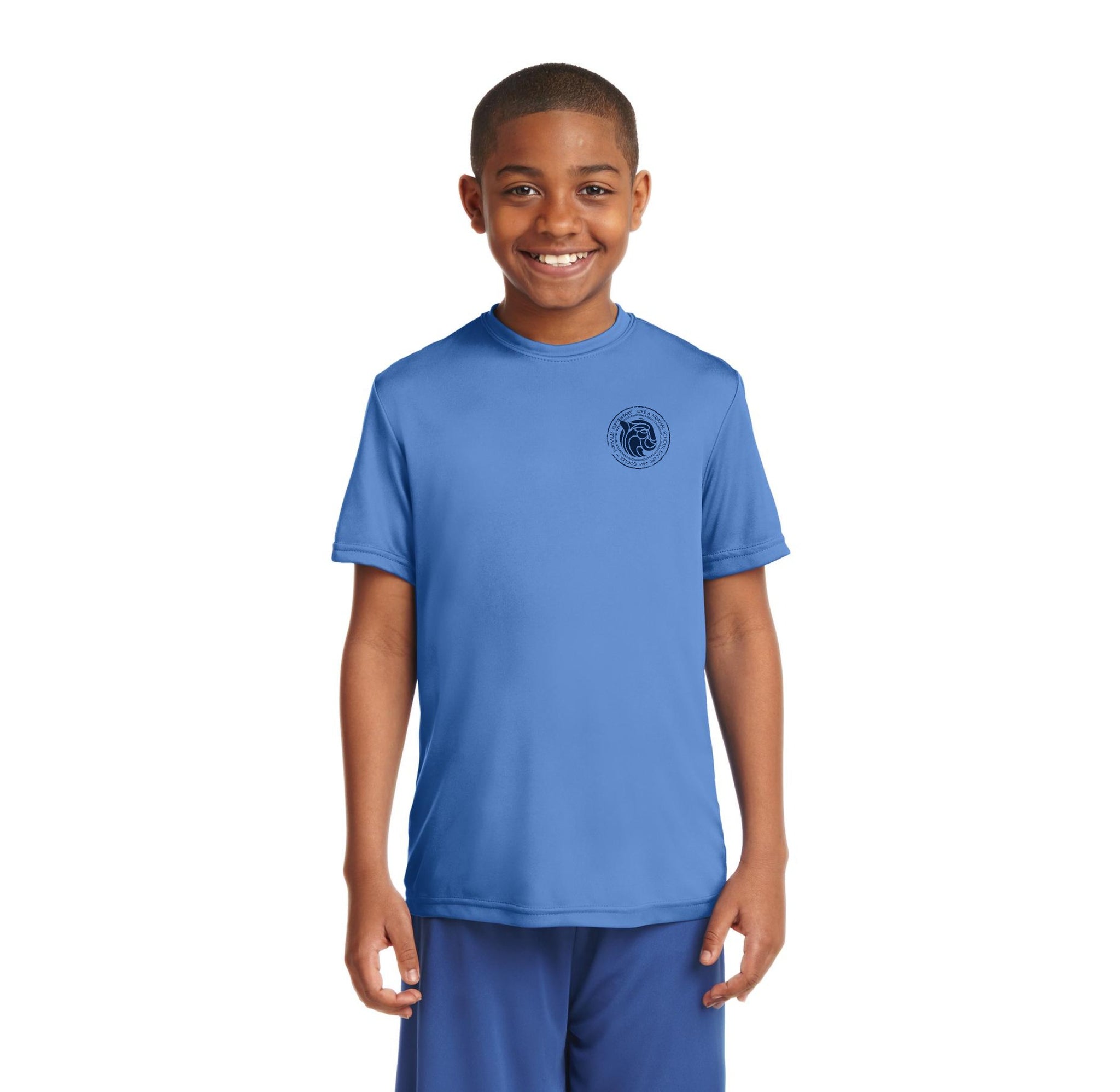 Carolina blue dri fit top shirt