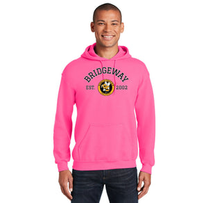 Bridgeway Island-Adult Unisex Hoodie Circle Logo