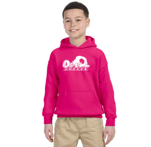 Odell Rec Sports Store 2024 On-Demand-Youth Unisex Hoodie Soccer Logo