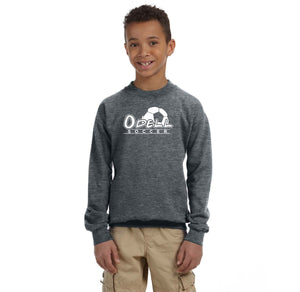 Odell Rec Sports Store 2024 On-Demand-Youth Unisex Crewneck Sweatshirt Soccer Logo