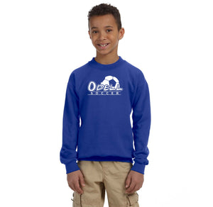 Odell Rec Sports Store 2024 On-Demand-Youth Unisex Crewneck Sweatshirt Soccer Logo