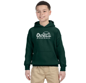 Odell Rec Sports Store 2024 On-Demand-Youth Unisex Hoodie Baseball Logo