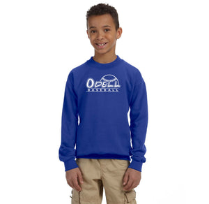 Odell Rec Sports Store 2024 On-Demand-Youth Unisex Crewneck Sweatshirt Baseball Logo