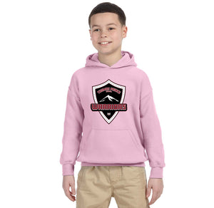 Thomas Prince Spirit Wear 2023-24 On-Demand-Youth Unisex Hoodie Shield