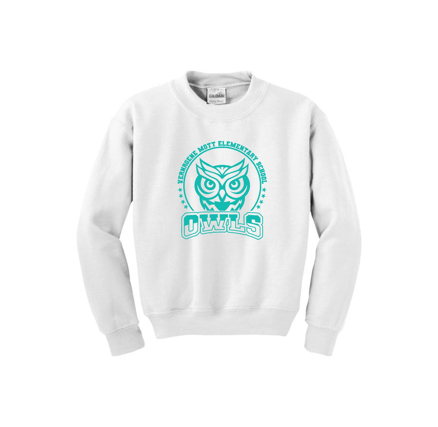 Mott Elementary Spirit Wear 2024 On-Demand-Youth Unisex Crewneck Sweatshirt On-Demand Teal Owl