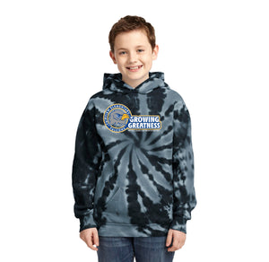 Fairview STUDENT-Youth Tie-Dye Pullover Hooded Sweatshirt