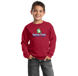 Barton Pond On Demand-Youth Unisex Port & Company Crewneck Sweatshirt Lego Design BPES