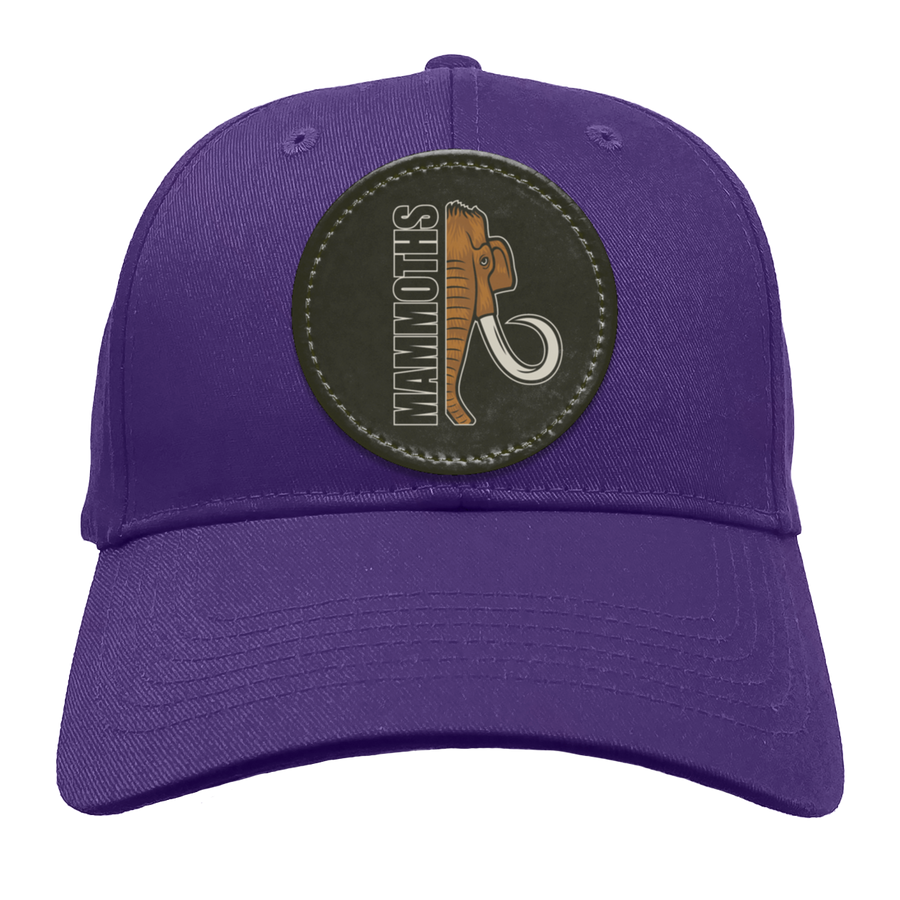 Miller Elementary School-BX020 Structured Twill Cap - Circle Patch