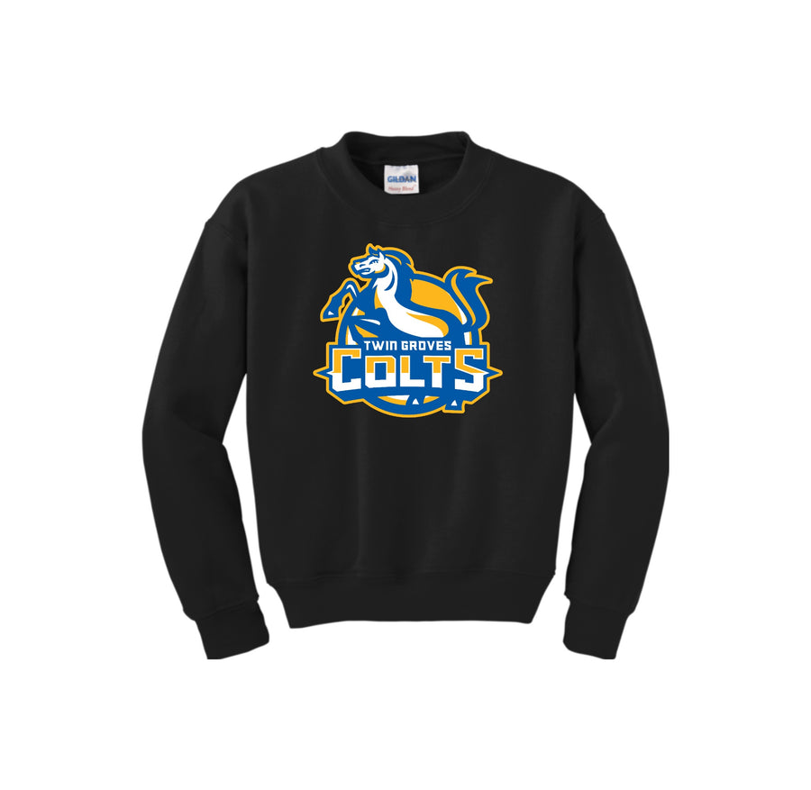 Twin Groves MS-Youth Unisex Crewneck Sweatshirt On-Demand Colt Logo