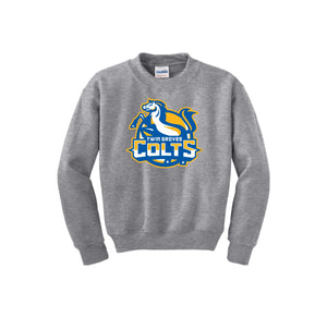 Twin Groves-Youth Unisex Crewneck Sweatshirt On-Demand Colt Logo