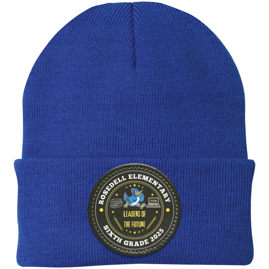 Athletic Royal variant image