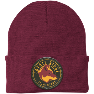 Maroon variant image