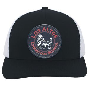Navy/white variant image