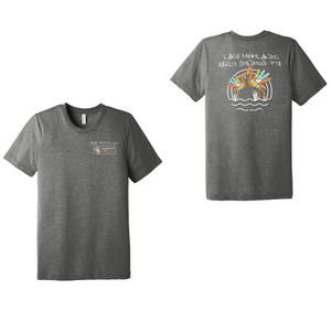 Grey Triblend variant image