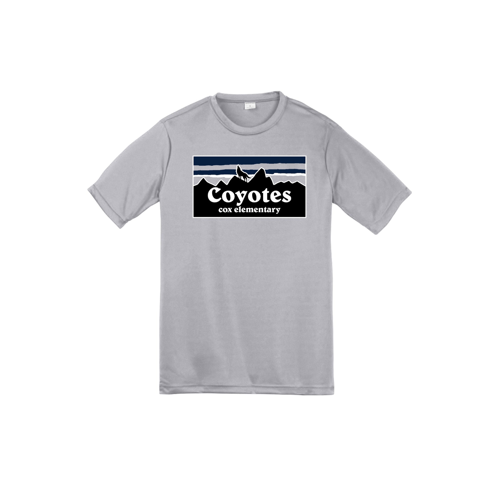 Silver variant image