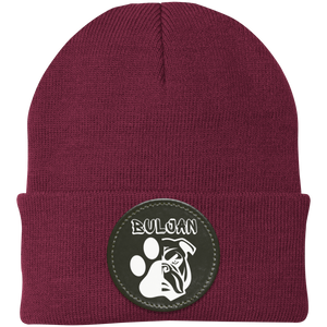 Maroon variant image