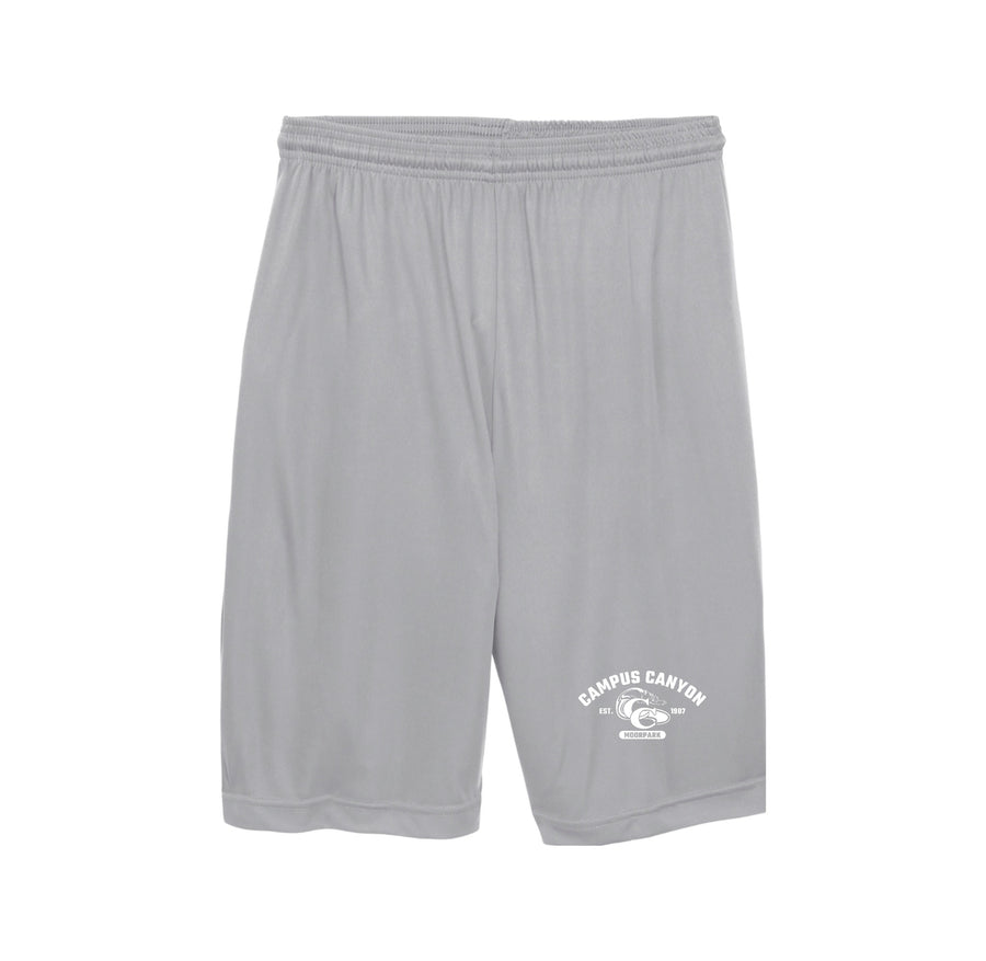 Silver variant image