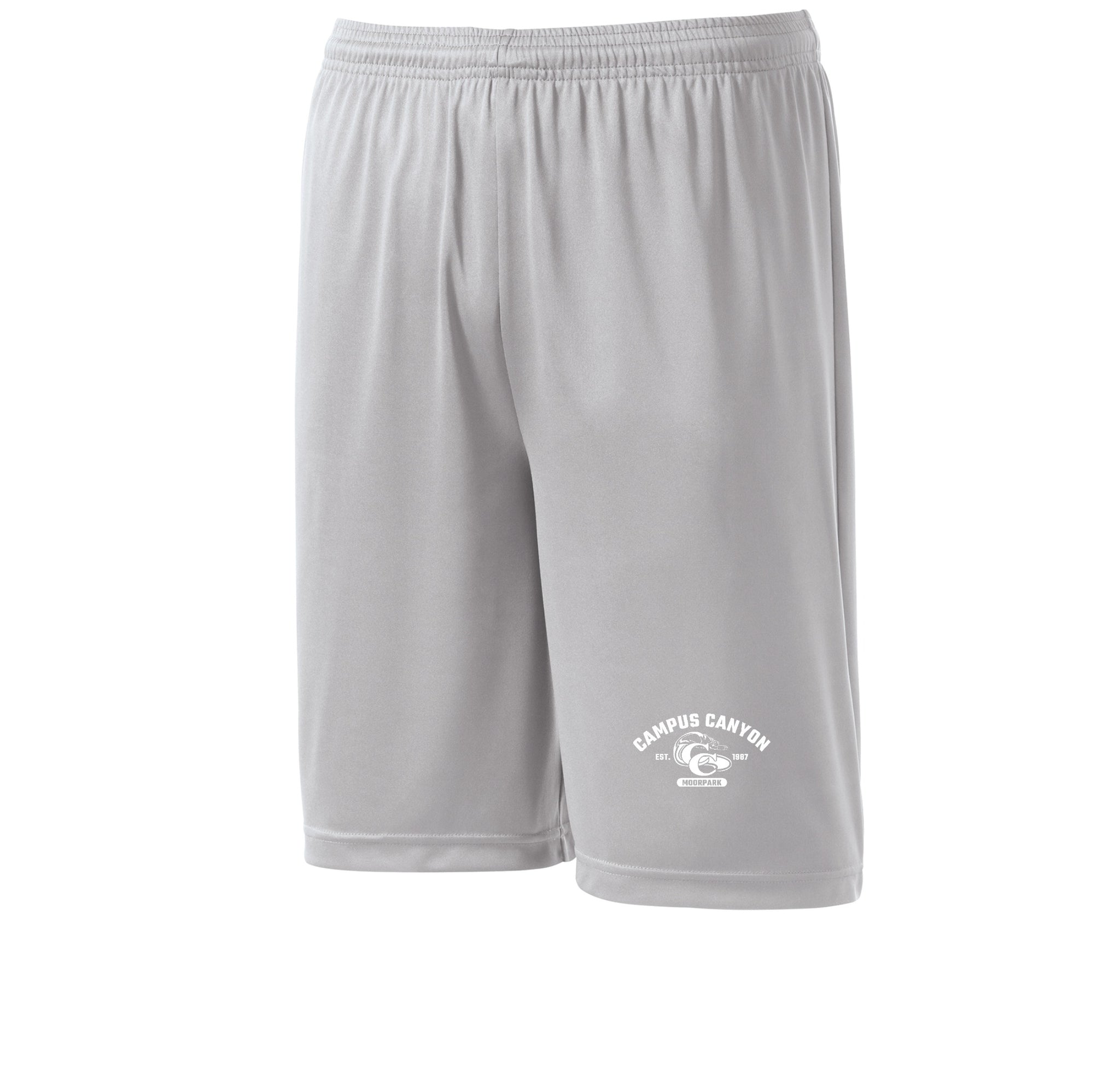 Silver variant image