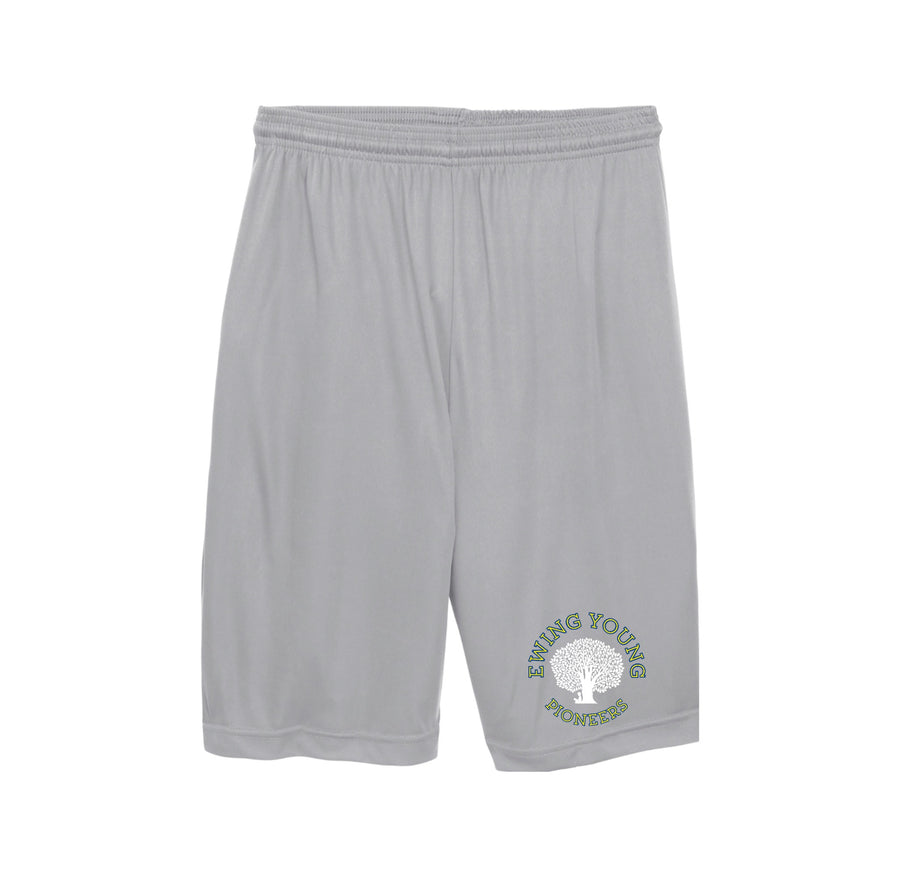 Silver variant image