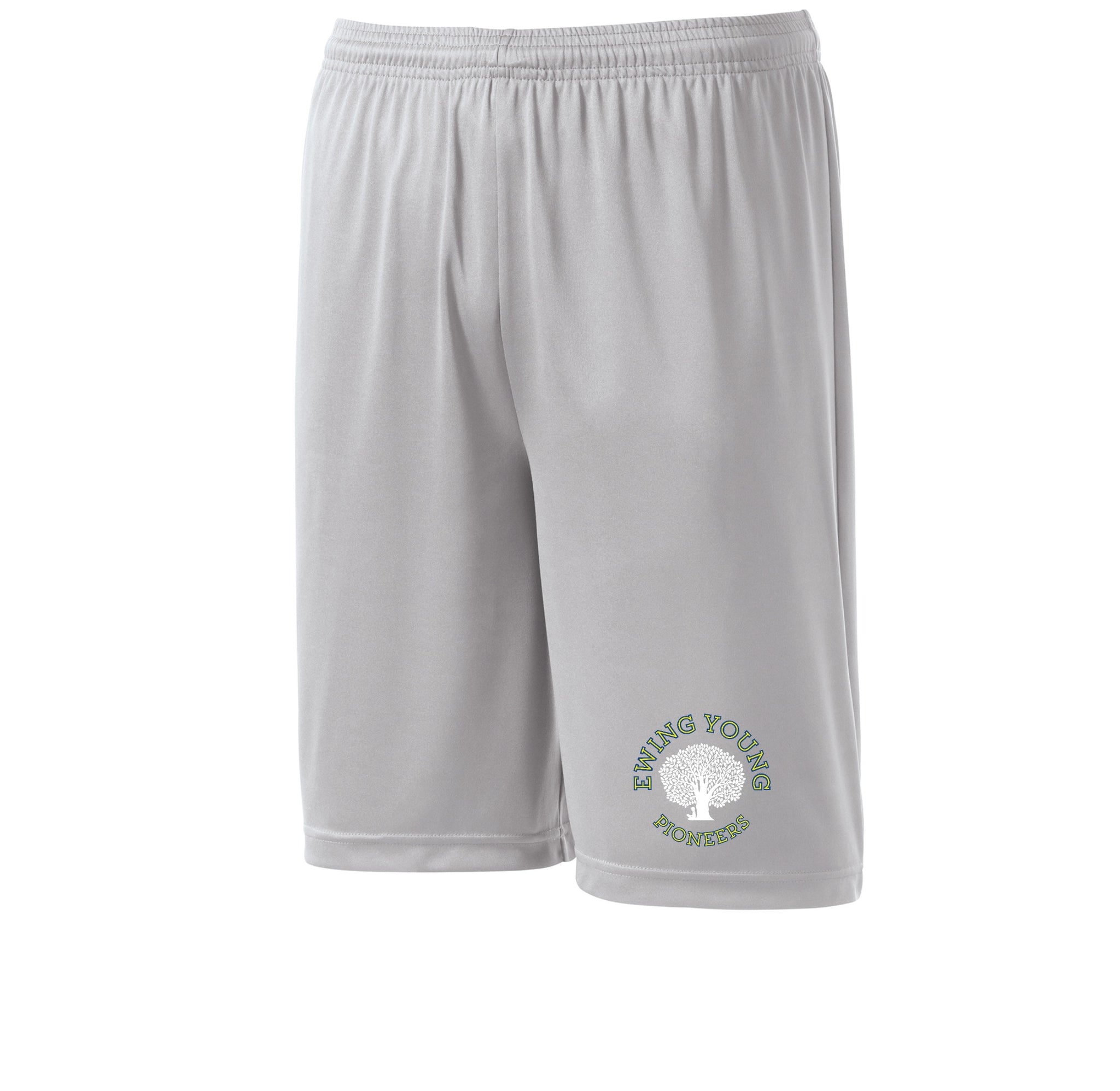 Silver variant image