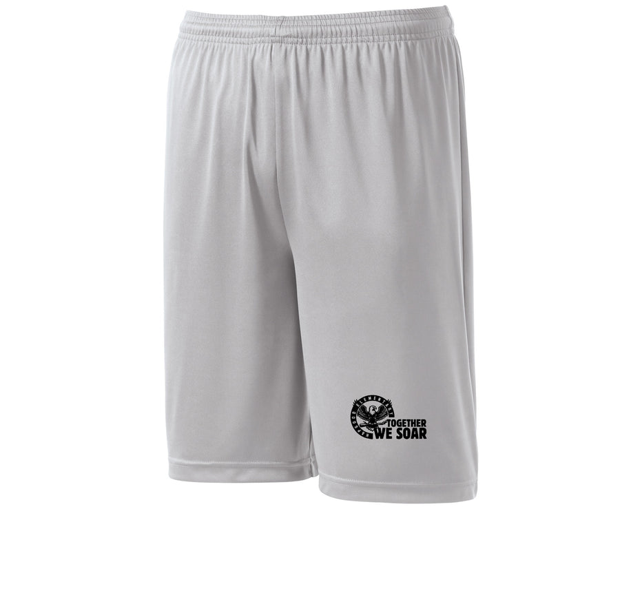 Silver variant image