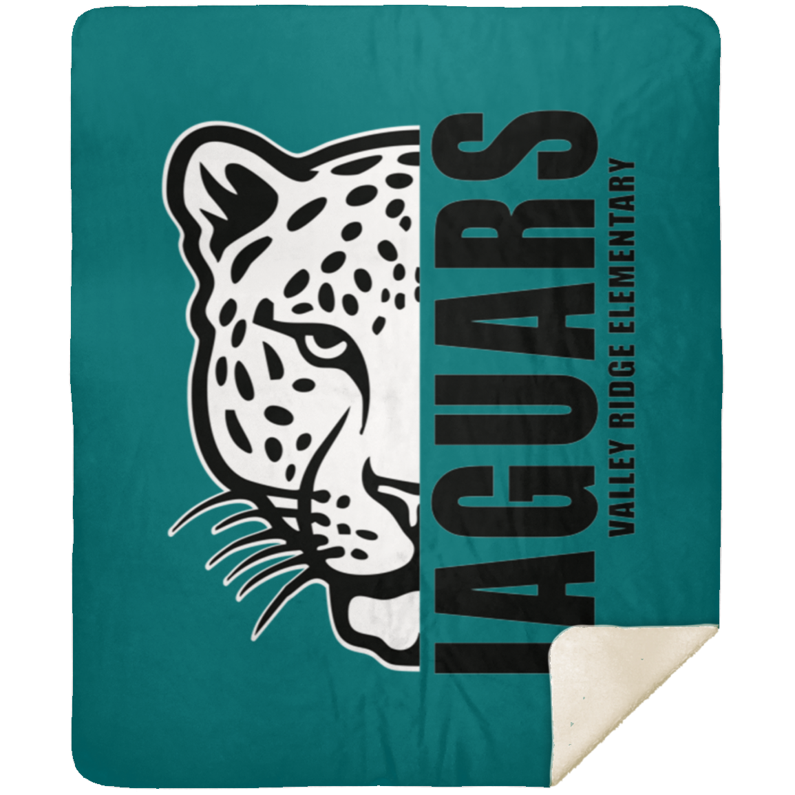 Teal variant image